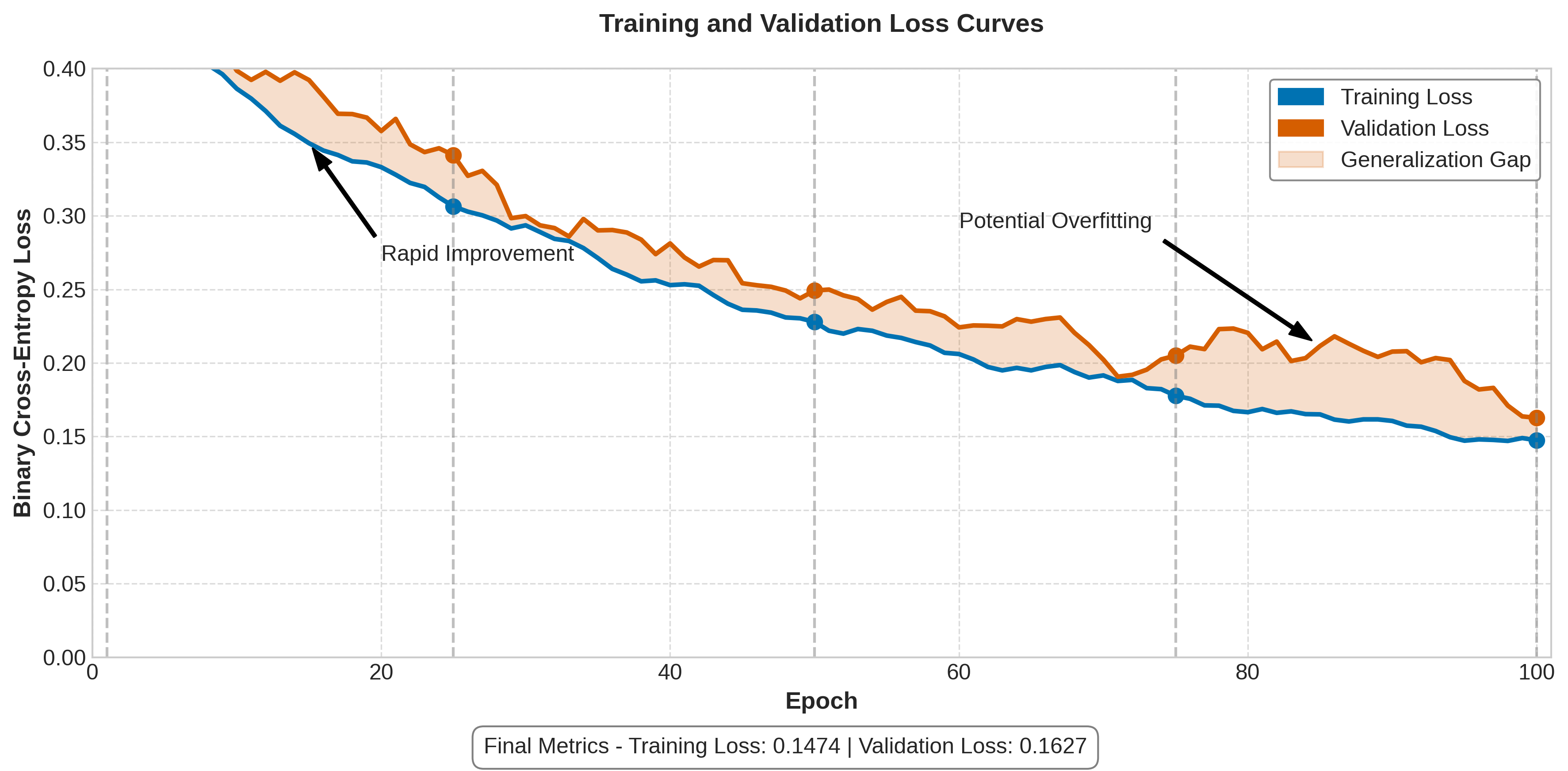 Loss Curves